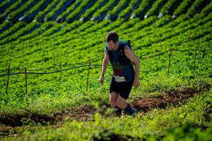 BIB: 
                            <button type="button" onclick="openModal(19160618)" class="btn btn-primary btn-sm float-right btn-popup" data-toggle="modal" data-target=".modal-high-quality">
                        <i class="fas fa-shopping-cart"></i> Add to Cart
                    </button>
                                            <button type="button" onclick="isThisMe(19160618, true)" class="btn btn-success btn-sm float-right btn-popup btn-isme hidden" data-toggle="tooltip" data-placement="bottom" title="นี่คือรูปของคุณใช่ไหม คลิกที่นี่เพื่อเอาเข้าอัลบั้ม">
                        <i class="fas fa-plus"></i> Add to album
                    </button>
                    <button type="button" onclick="isThisMe(19160618, false)" class="btn btn-warning btn-sm float-right btn-popup btn-isnotme hidden">
                        <i class="fas fa-ban"></i> Remove from album
                    </button>